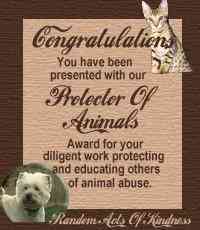 Animal Protector Award from RAOK