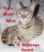 Kat's What A Site Award
