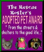 Rescue Pet Award
