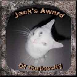 Jack's Award of Curiosity