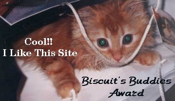 Biscuit's Buddies Award