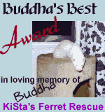 The Buddha Award