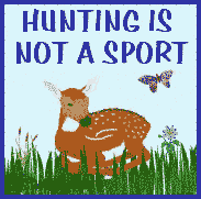 Hunting Is Not A Sport