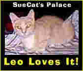 Leo Loves It