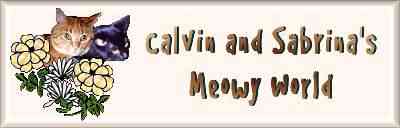 Calvin and Sabrina's Meowy World