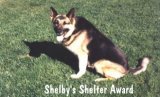 Shelby's Shelter Award