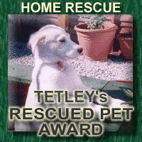 Tetley's Rescue Award