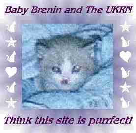 Baby Brenin UKRN Purrfect Site Award