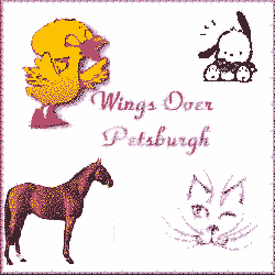 Wings over Petsburgh