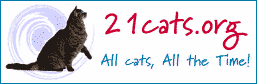 21cats.com Banner