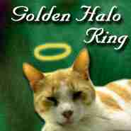 Golden Halo Ring
