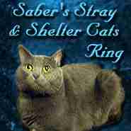 Saber's Stray & Shelter Cats