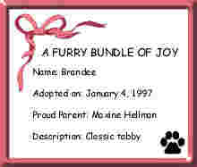 Brandee's Adoption Certificate