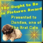 You Ought To Be In Pictures Award
