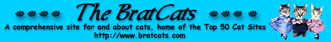 BratCats Banner