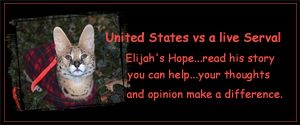 Save Elijah Banner