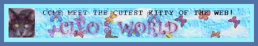 Cleo World Banner