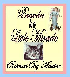 Little Miracle Plaque