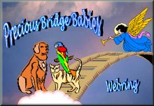 Precious
Bridge Babies Webring Logo