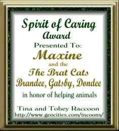 Spirit Of Caring Award