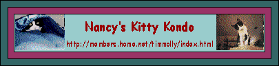 Nancy's Kitty Kondo